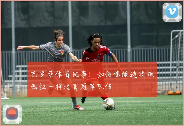 巴罗萨体育纪事：如何像酿造顶级西拉一样培育冠军队伍