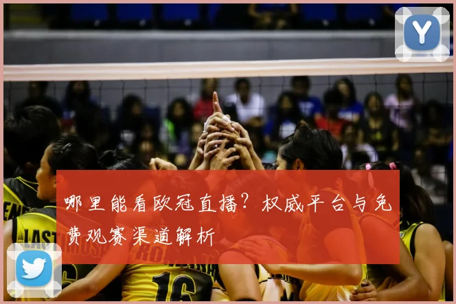 哪里能看欧冠直播？权威平台与免费观赛渠道解析