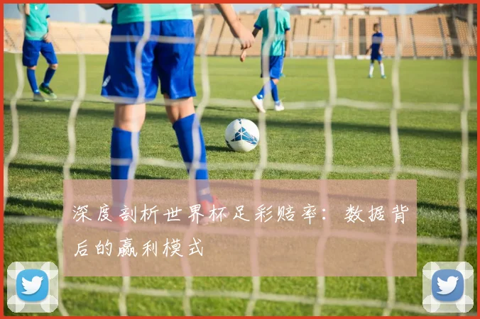 深度剖析世界杯足彩赔率：数据背后的赢利模式