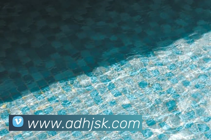 App Interface Preview