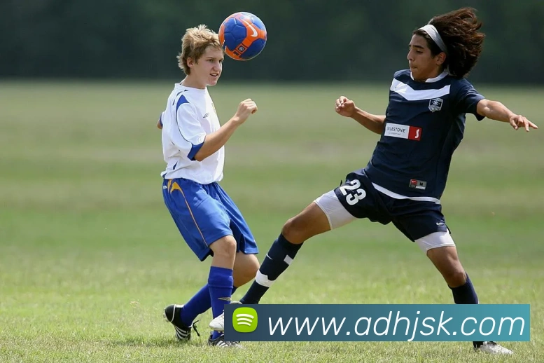 宝赢体育官网首页APP 封面图